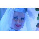 Снежная роза